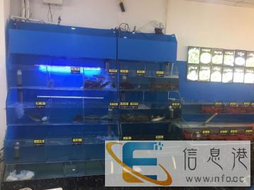 海鲜池商场吃奶鱼缸观赏鱼缸订做