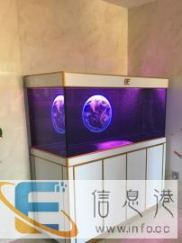 专业定制鱼缸定做海鲜池定制商场吃奶鱼鱼池水族箱