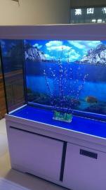 清洗鱼缸，维修鱼缸，系统改造，滤材更换