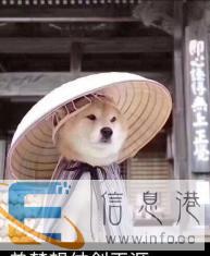 招女性保姆做家务
