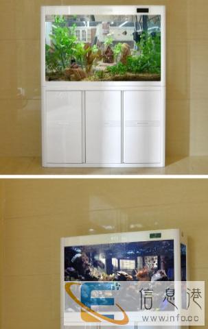 厂家活动末期,全新闽江牌鱼缸处理,腾仓库