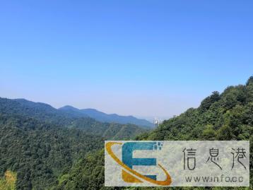 招聘早8点至晚6点半不住家保姆