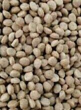 桥宝宠物期间厂 全国批发天然猫粮狗粮