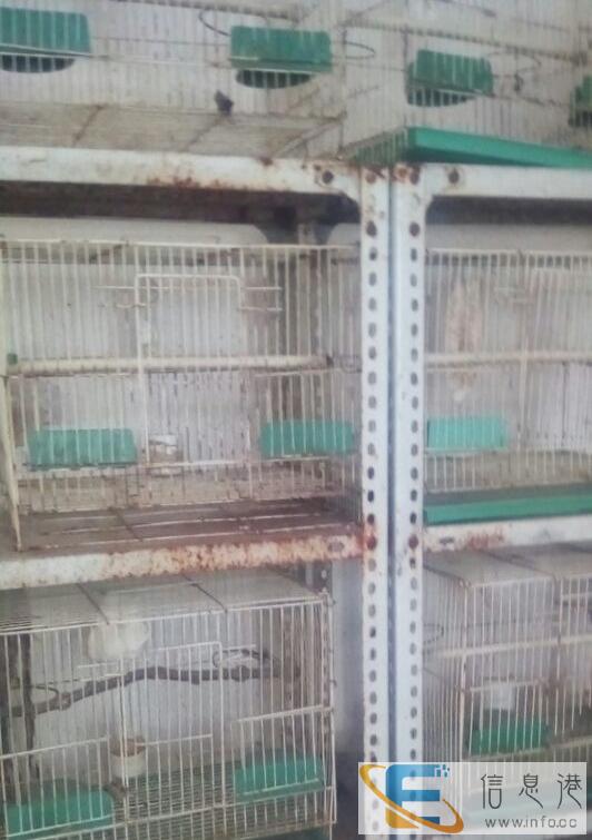 出售鸟笼九成新
