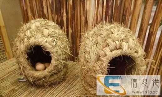 喂狗喂猪喂羊的干馒头干油条