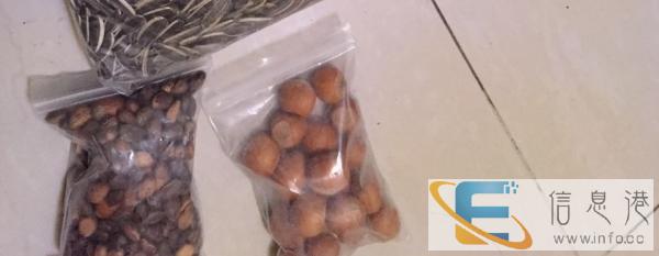 大松鼠笼子 魔王松鼠笼子便宜出