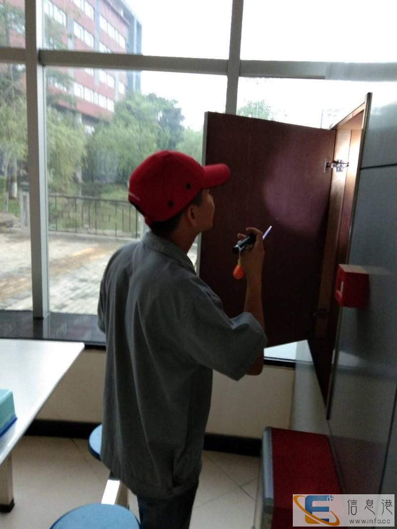 龙科白蚁虫控 打造虫控专业品牌,多镇设点 因为专注 所以出色