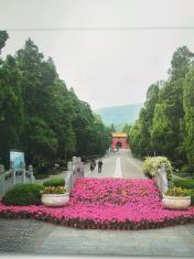 找个有责任，有爱心的 阿姨做家务