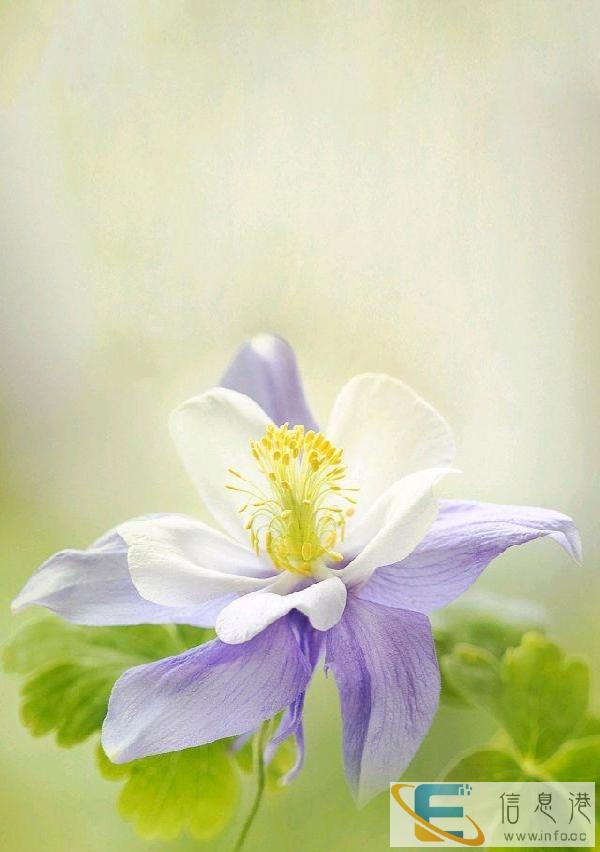 招24小时住家保姆