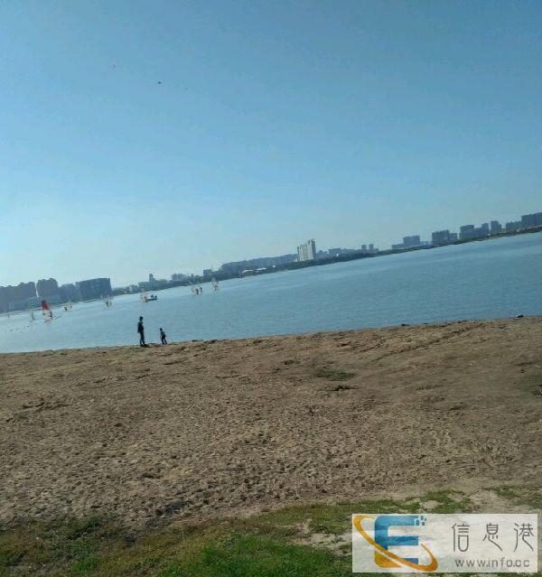 能长期脱身的保姆