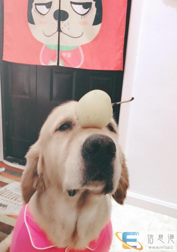 照顾早晚两顿饭 有健康证明