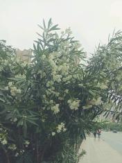 有责任心的住家阿姨