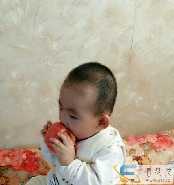 急需带孩子的保姆，光白天