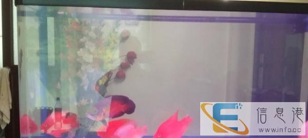 原装日胜牌鱼缸