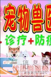 牧鑫宠物兽医、惠民服务社区