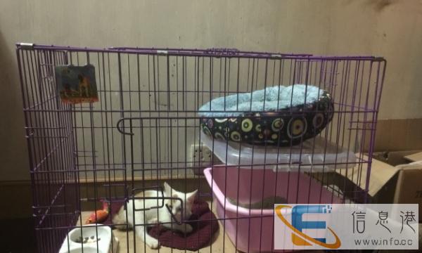 转自用二手猫笼