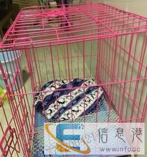 全新狗猫笼子清仓60乘40的 各种颜色 40元自提