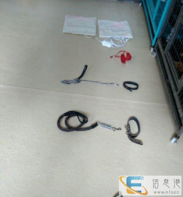 4个狗笼及若干牵引