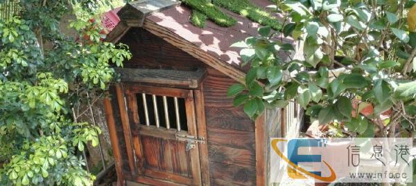 给你的爱宠一个美好的家