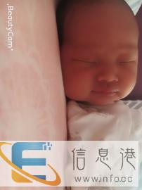 找带宝宝阿姨，不住家
