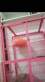 猫别墅三层猫笼子