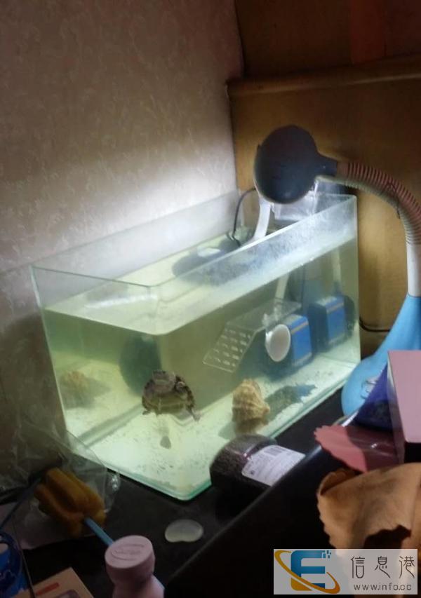 99新 鱼缸 热弯缸50元