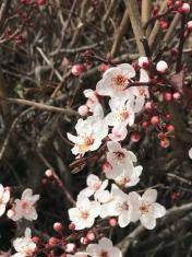 需要一位照看2岁左右小孩的阿姨