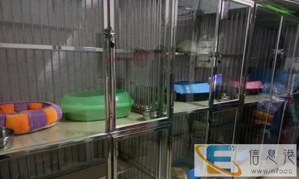 十年实体店批发零售猫狗用品各种小宠物用品