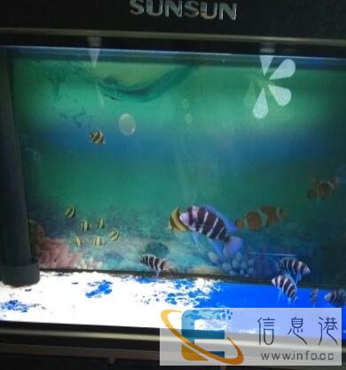 底滤深深水族箱