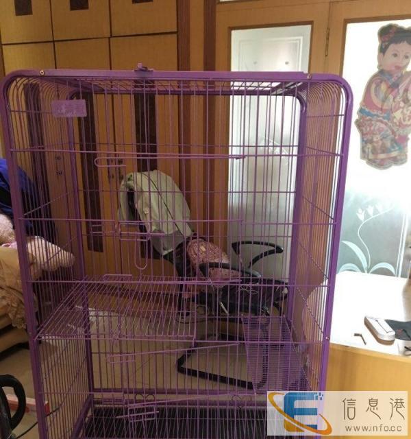 九成新二层别墅猫笼