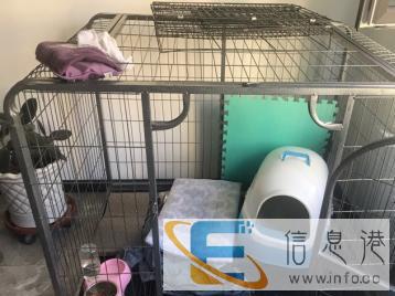 用了半年现在闲置在家