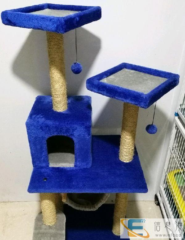 出售猫爬架，上门自取