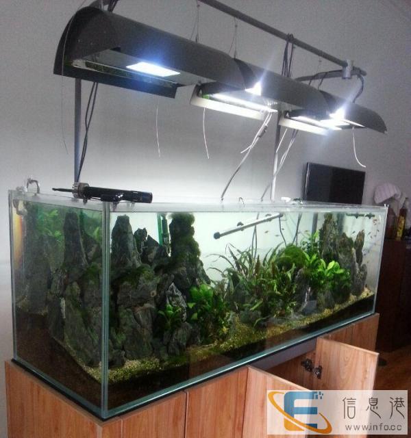 99成新鱼缸价格5000