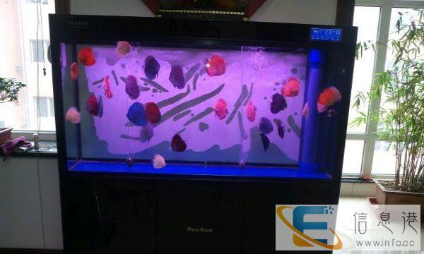 全新森森名牌鱼缸