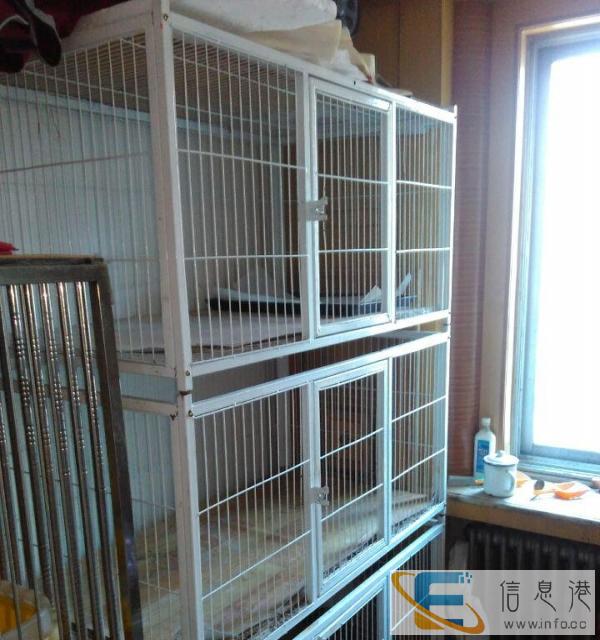 宠物笼子低价出售