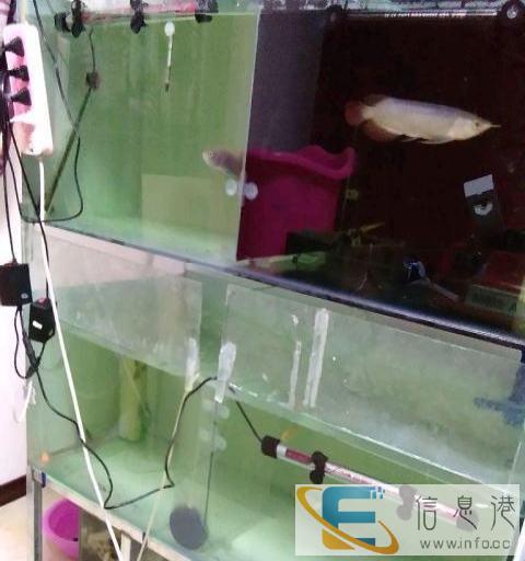 95成新 鱼缸 800元