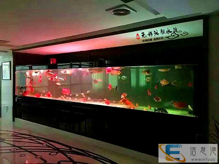 连云港鱼缸定做