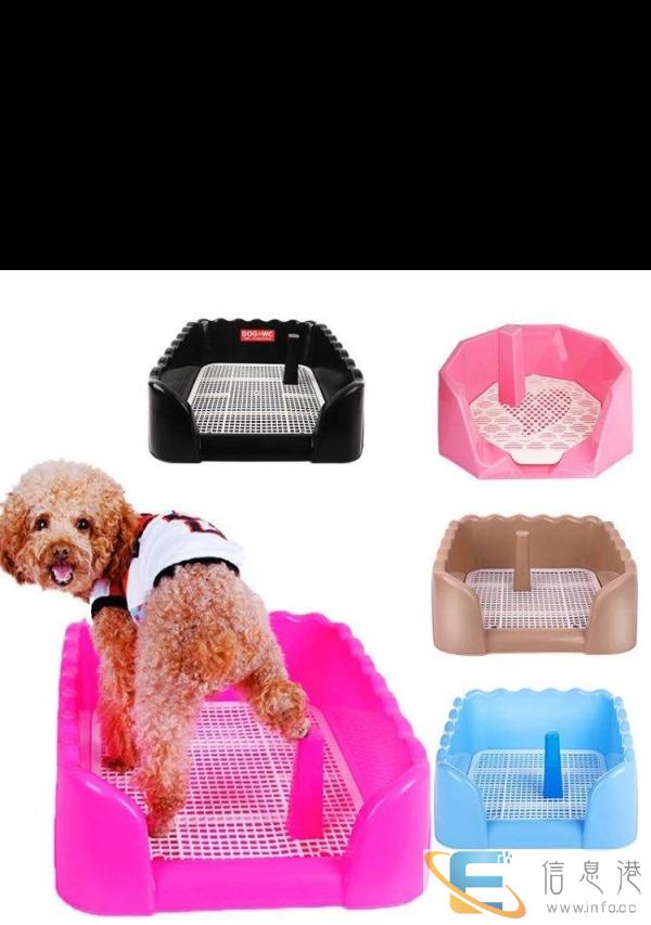 两件100送狗尿布10片