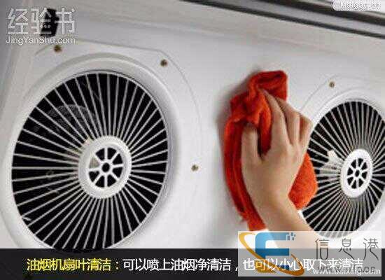 好月家政,专业清洗吸油烟机,日常保洁