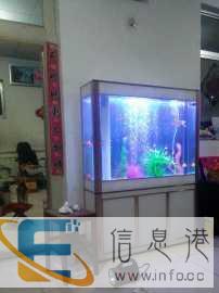 全新鱼缸价格1000