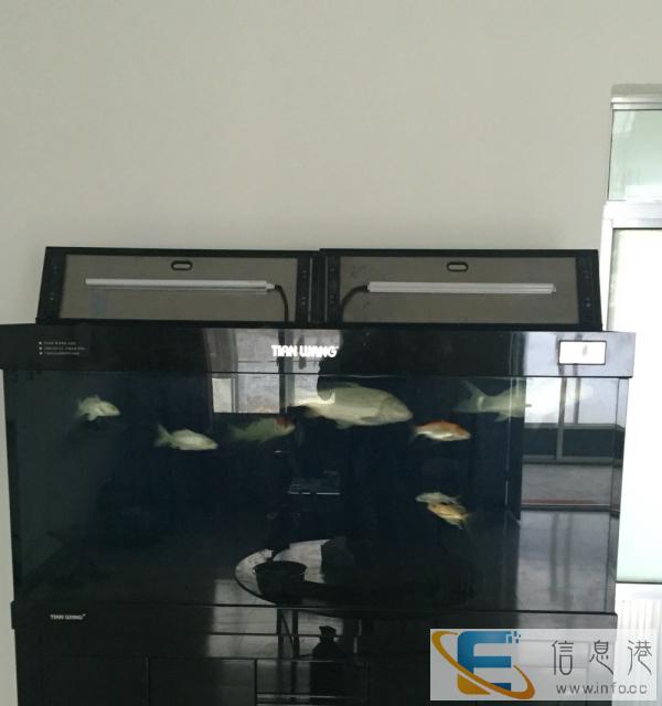 天王鱼缸出售1.8米