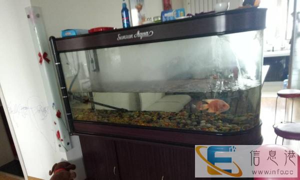 7成新鱼缸价格700