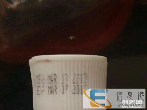 红棕泰迪专用浴液