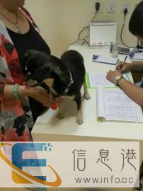 绵阳御营坝御安街 怀仁宠物医院