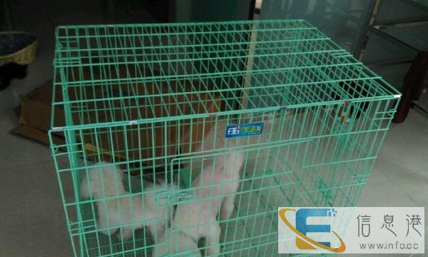 低价转让全新狗笼