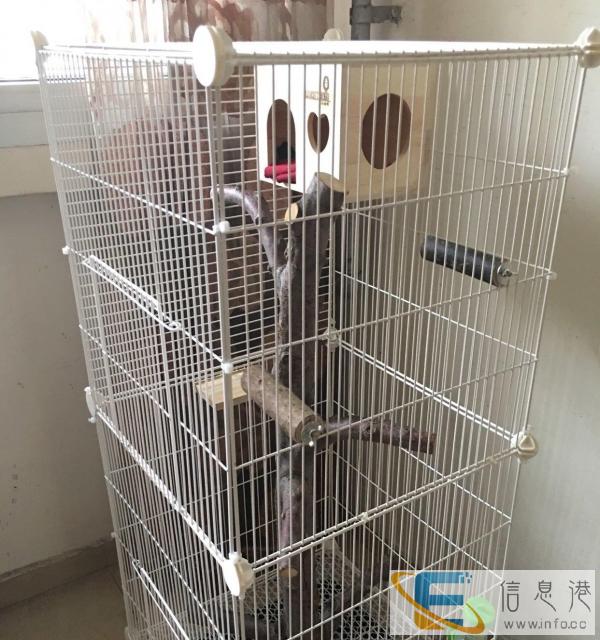 魔王松鼠，龙猫笼子