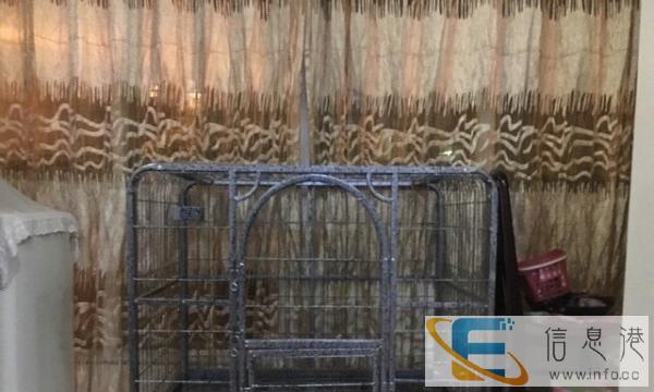 低价转让宠物笼