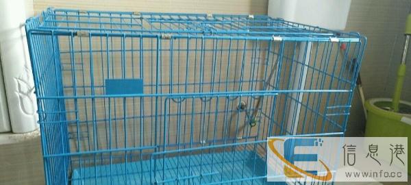 转让狗笼子，才买俩个月