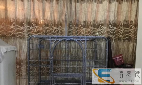 宠物特大笼 笼子