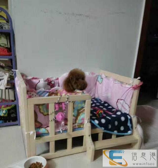 全新实木狗床带布艺垫子